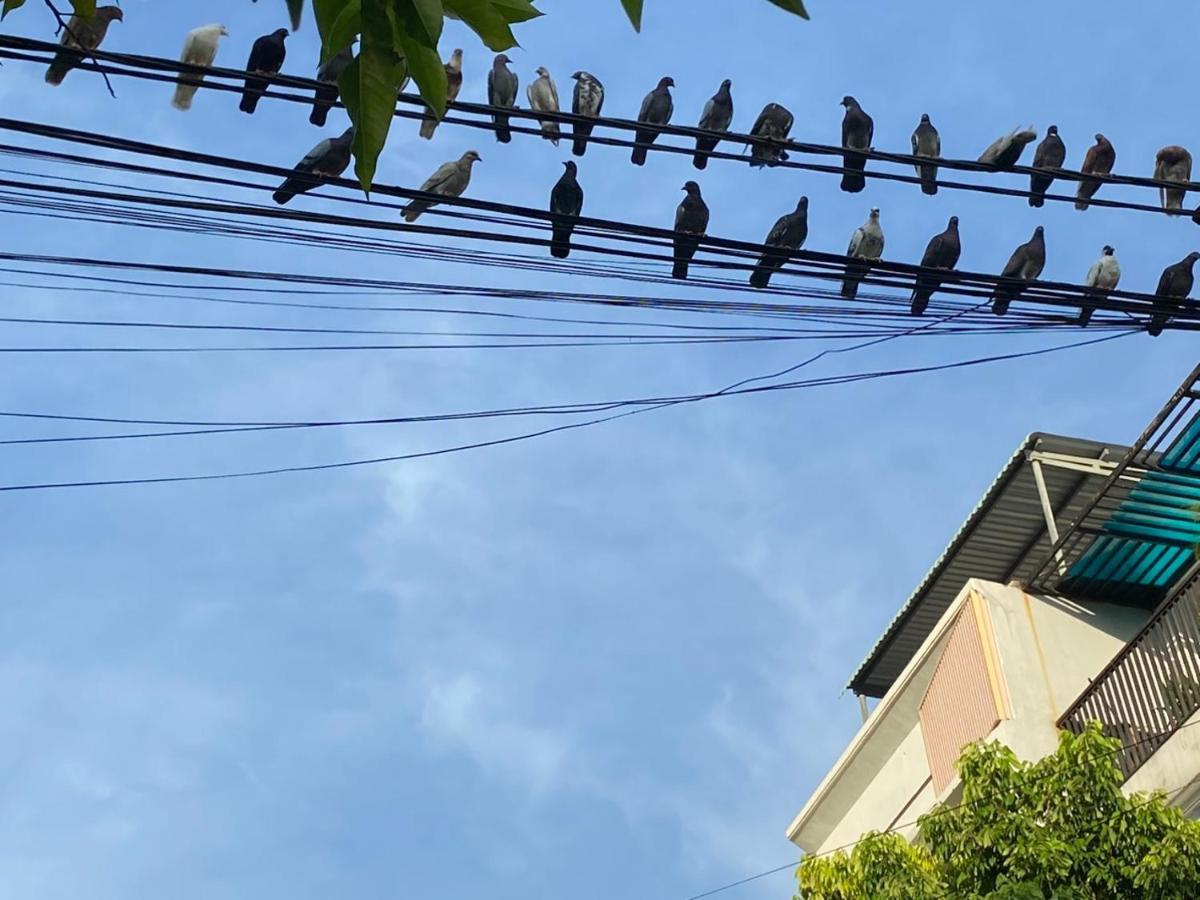 Lu Peaceful Homestay Đà Nẵng Ngoại thất bức ảnh
